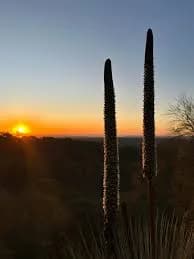 Sunset over Anstey Hill Recreation Park on the edge of Vista