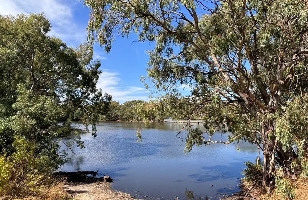 Wynn Vale Dam, a popular local reserve in Wynn Vale